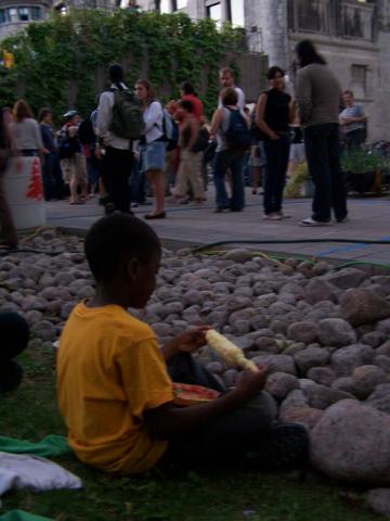 MMM...mais /  Yummm....corn!